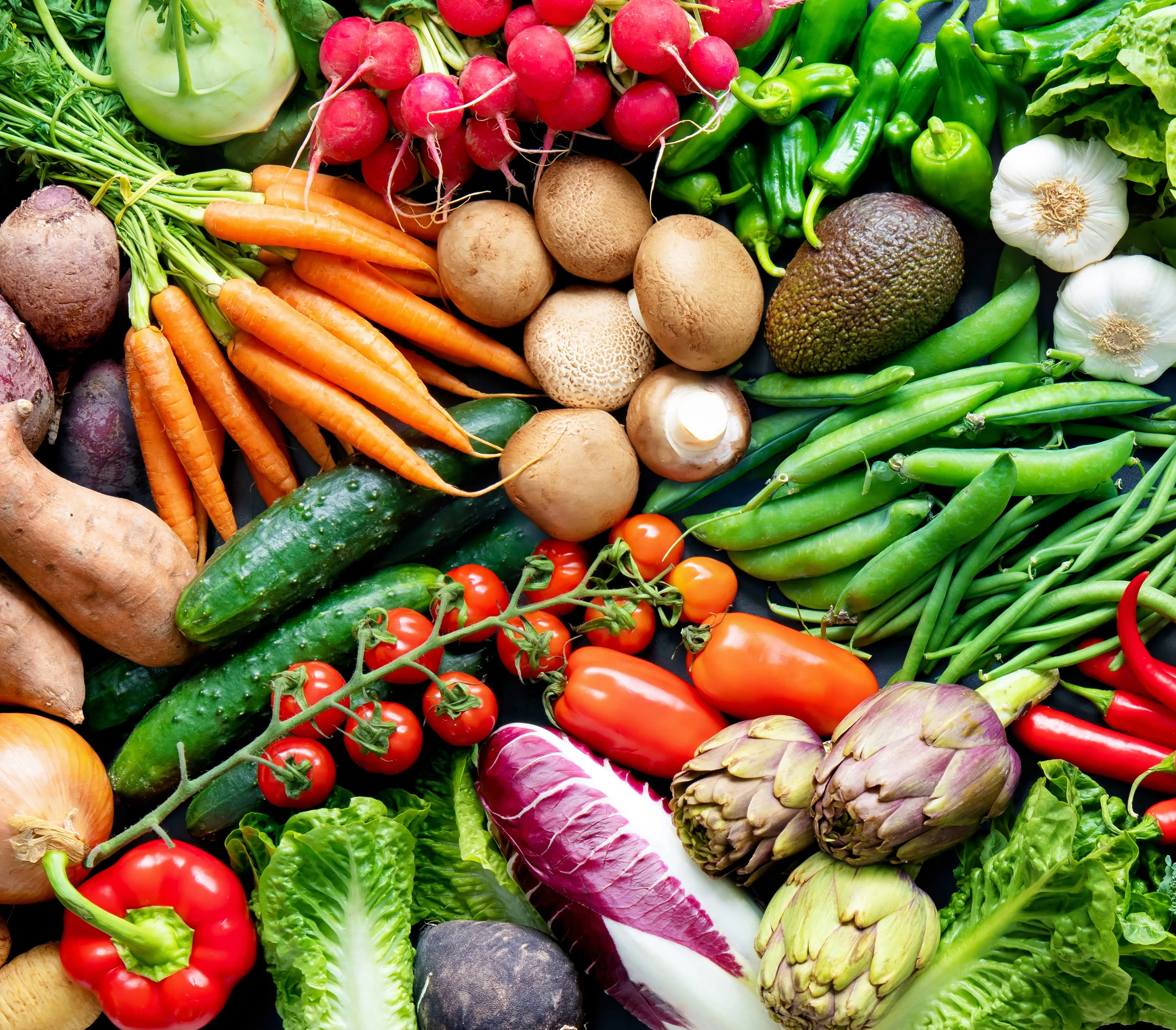 Nutrition illustration